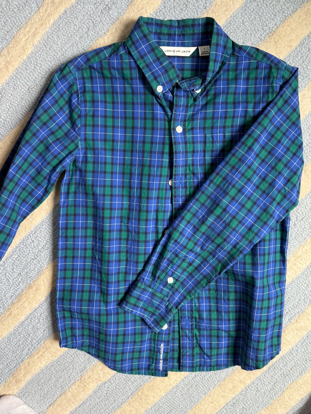 Janie and Jack Blue & Green Plaid Button-Down Shirt